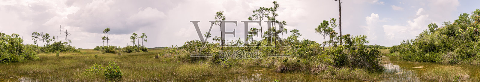 美国大沼泽地国家公园的沼泽地全景图照片摄影图片