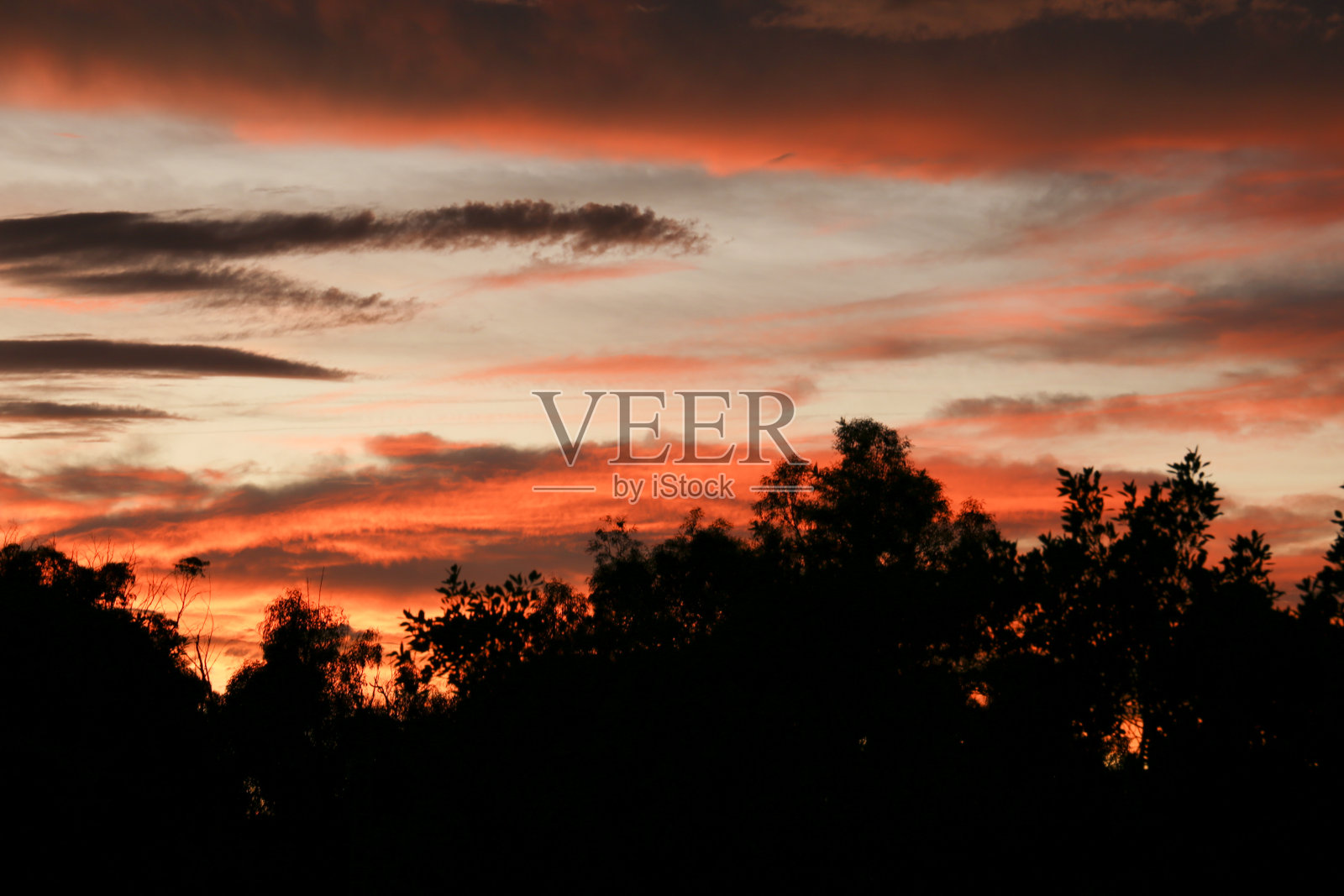 阿利坎特日落时的粉红色云彩和可爱的天空照片摄影图片