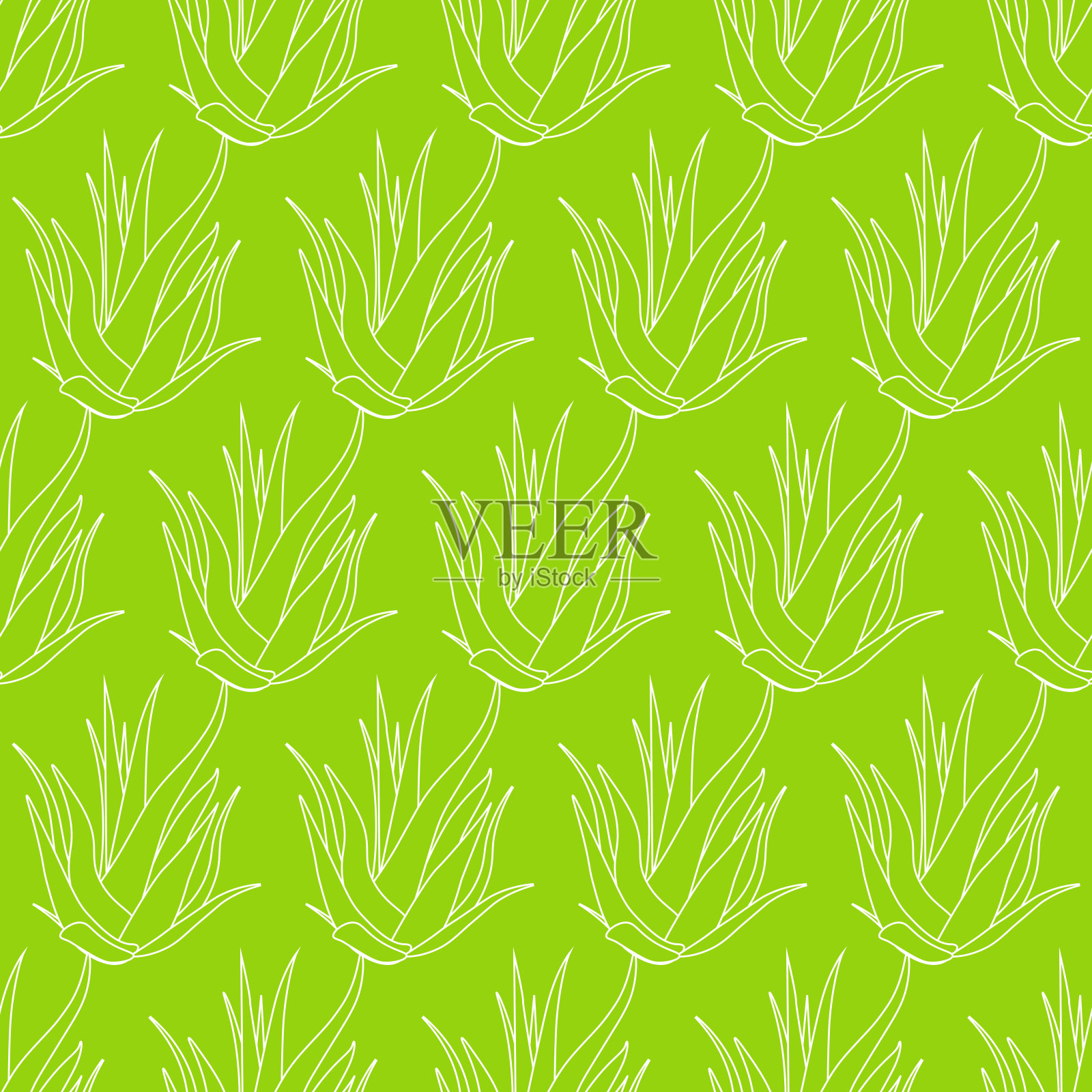 芦荟模式插画图片素材