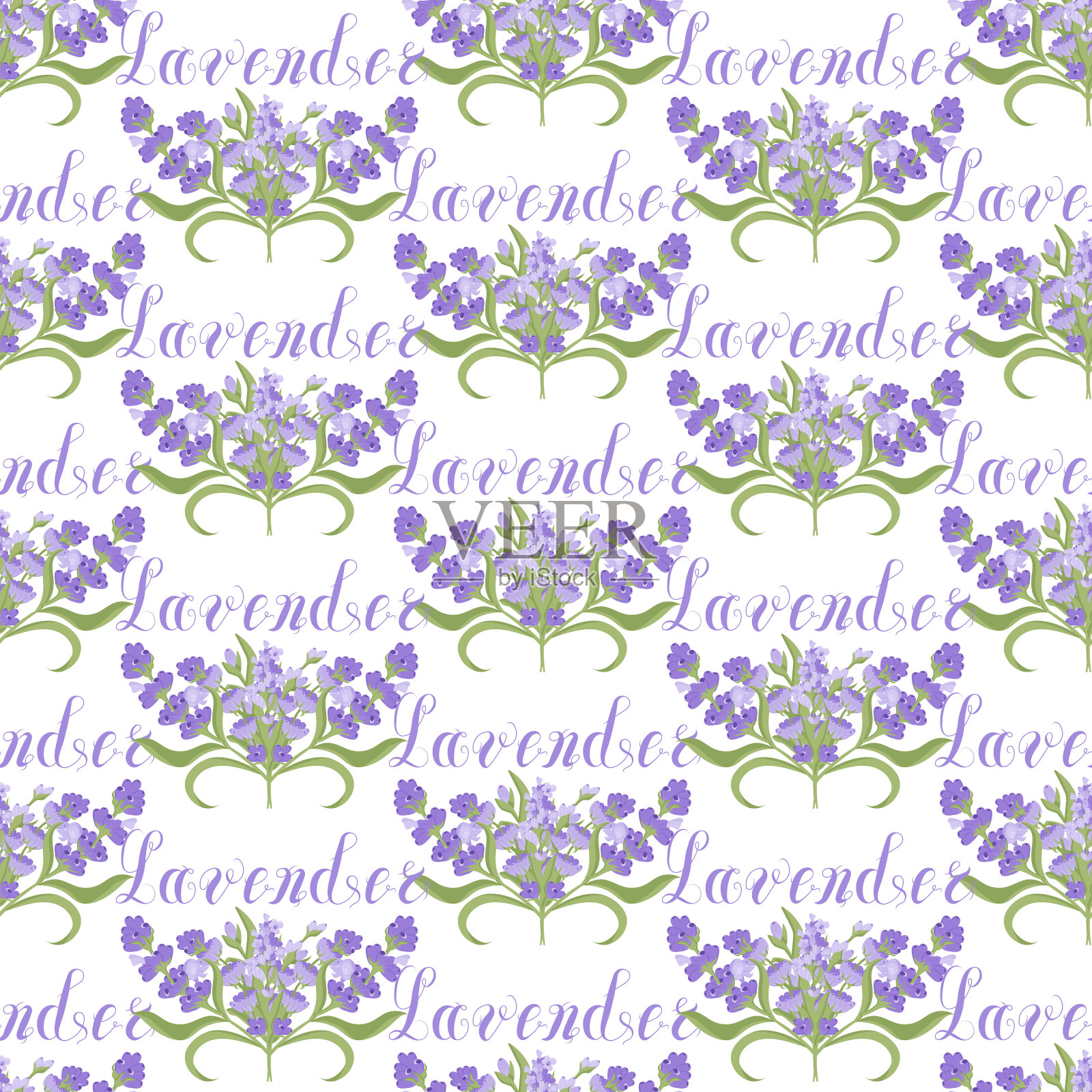 薰衣草。透明背景上的花朵和书法字薰衣草无缝图案。插画图片素材