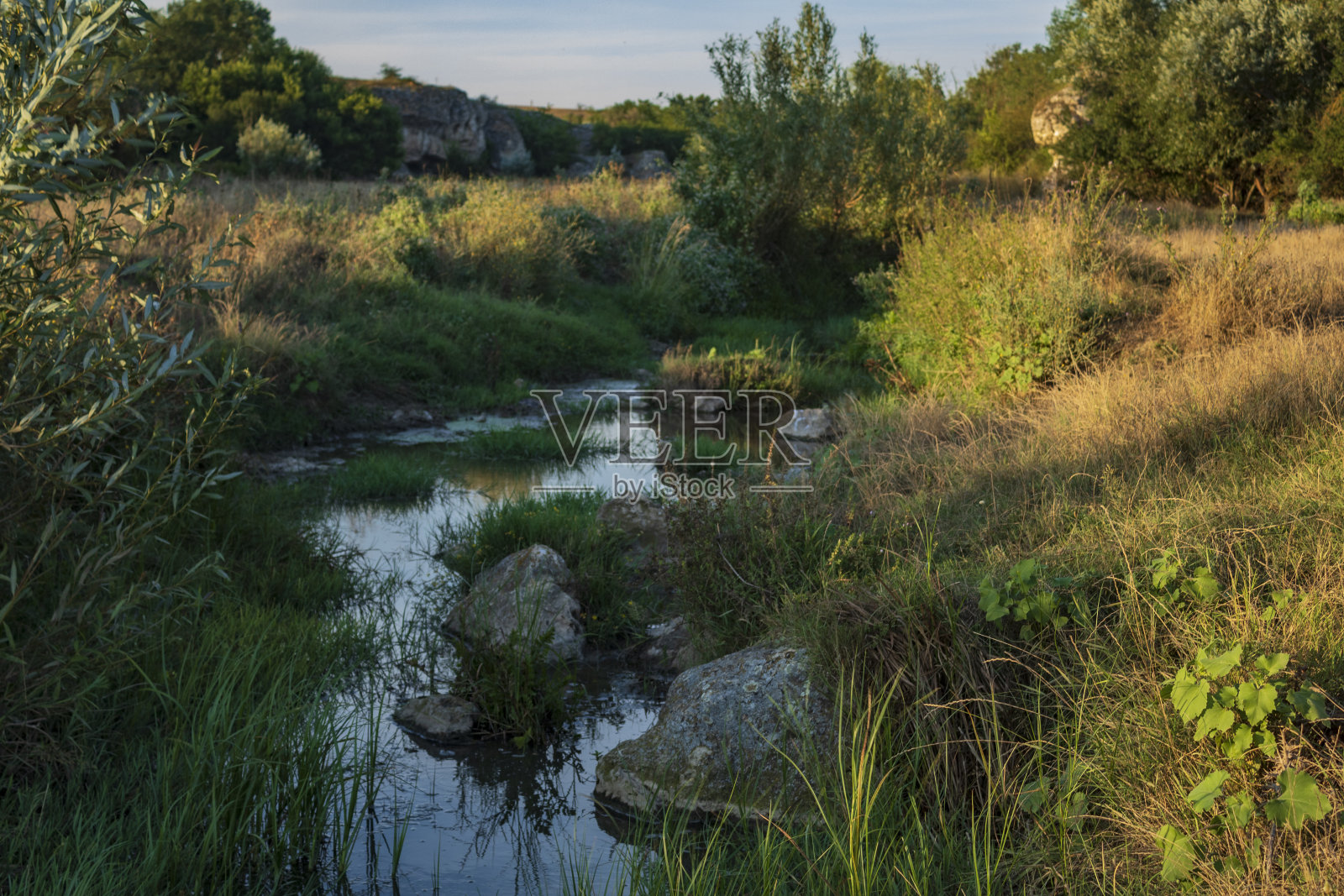 景观-森林-欧洲,罗马尼亚照片摄影图片