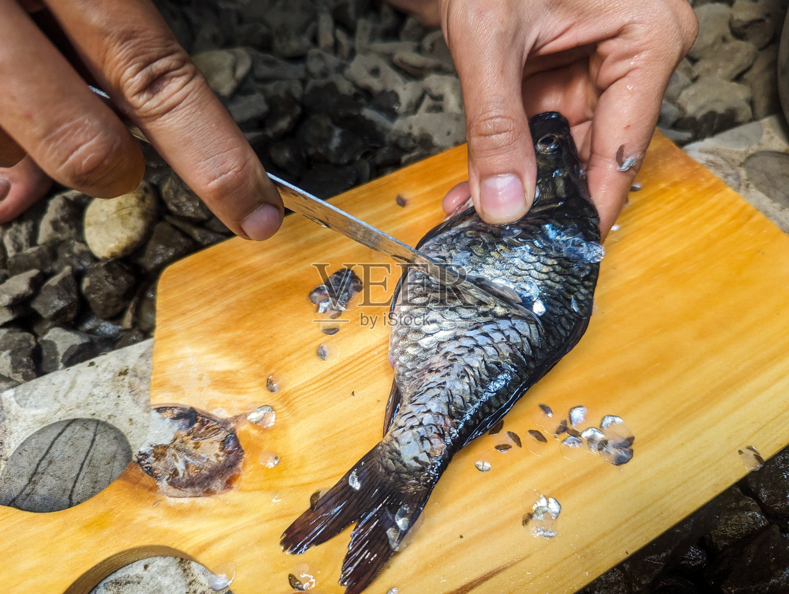 户外用刀清理鱼鳞的手特写照片摄影图片