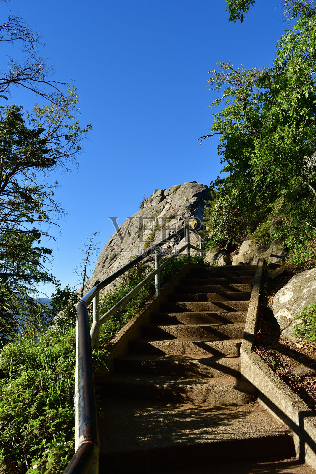 红杉国家公园照片摄影图片
