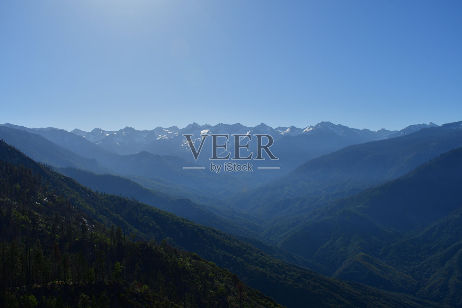 红杉国家公园照片摄影图片