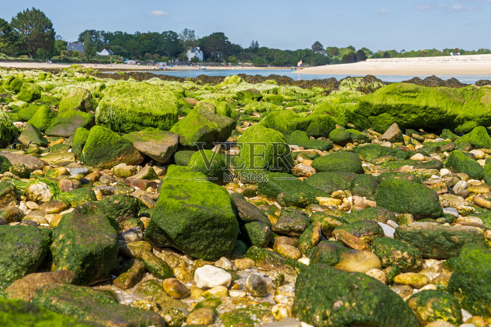 布列塔尼bassanodet的海岸线照片摄影图片