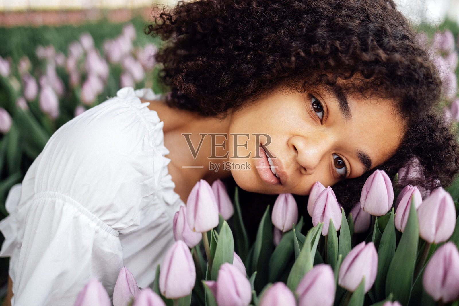 可爱迷人的非洲族裔女孩在温柔的紫色郁金香花蕾中的女性肖像特写。照片摄影图片