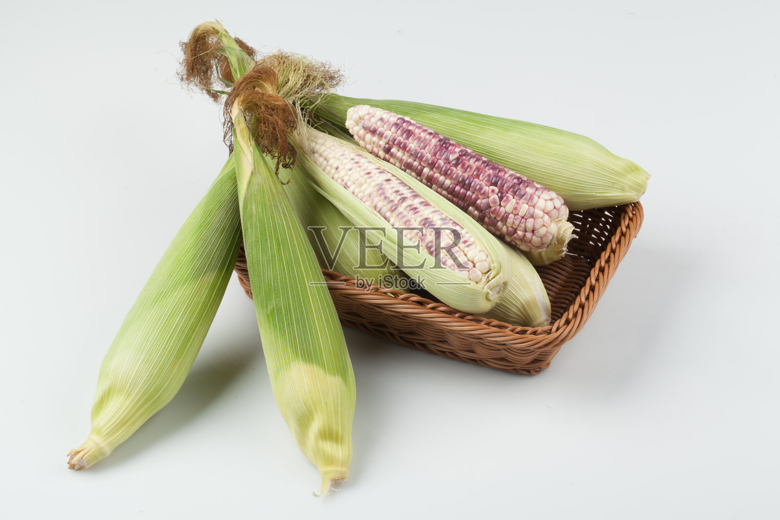 玉米是一种一年生草本植物。高2 ~ 3米,叶大而长,像高粱叶。照片摄影图片