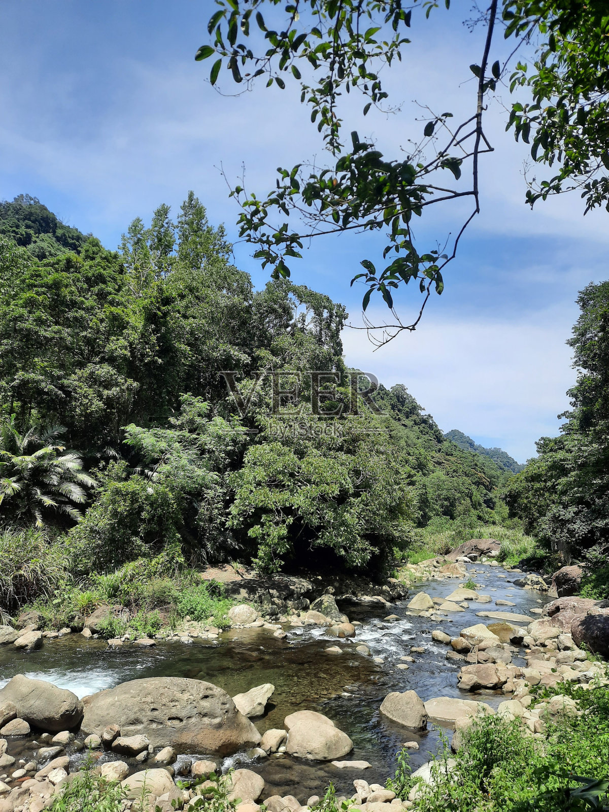 关于这一年照片摄影图片