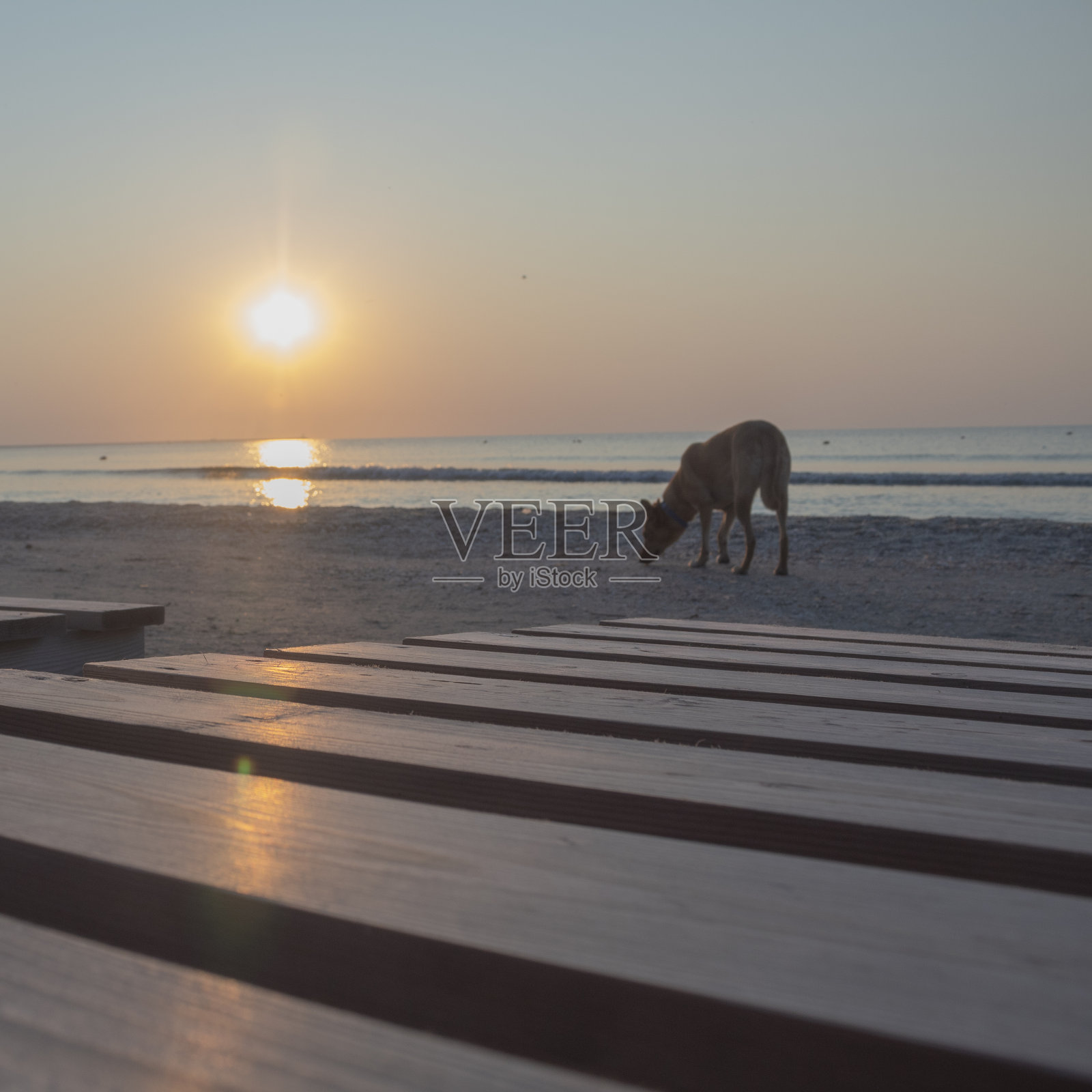 海,海岸-欧洲,罗马尼亚,康斯坦察地区照片摄影图片