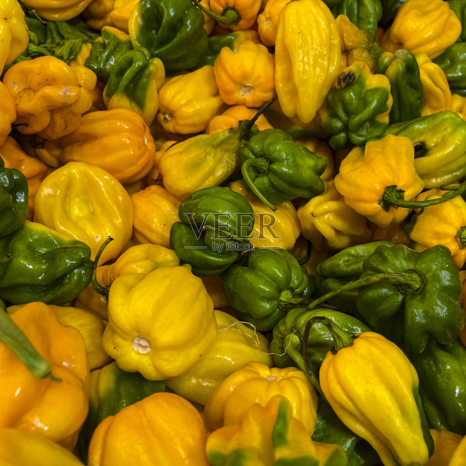 红辣椒照片摄影图片