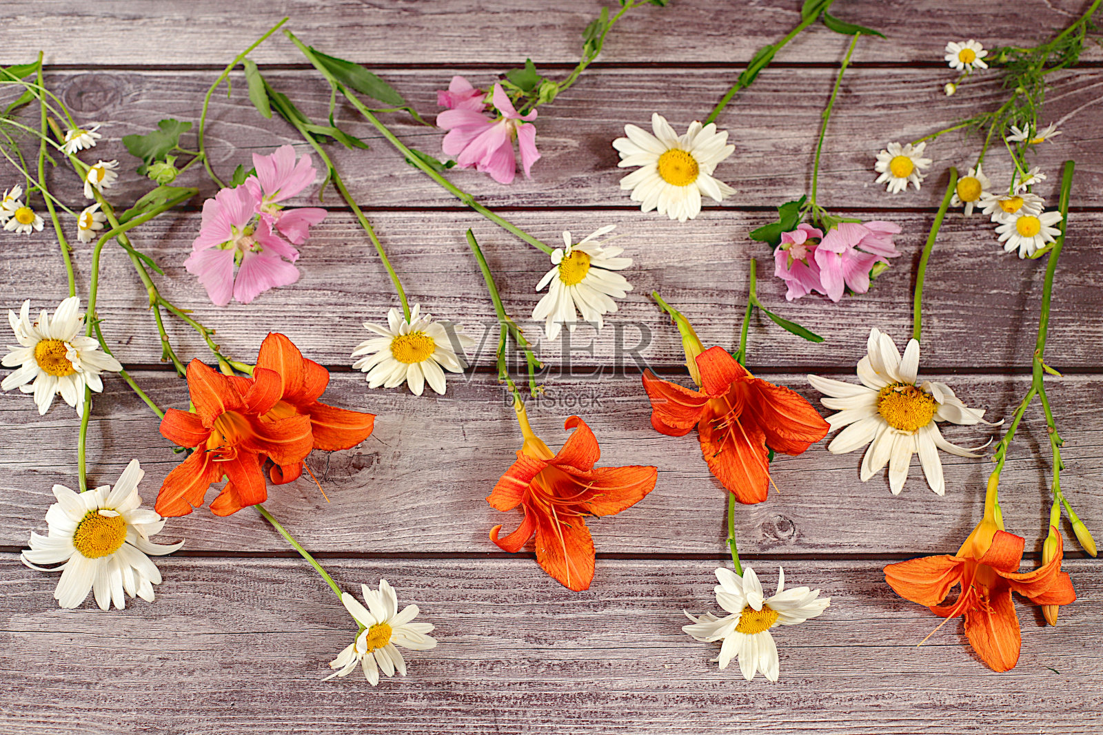 百合花,雏菊和蜀葵在一个古老的木制背景,夏秋平铺横幅,抽象的插花,质朴的风格,节日贺卡,…照片摄影图片