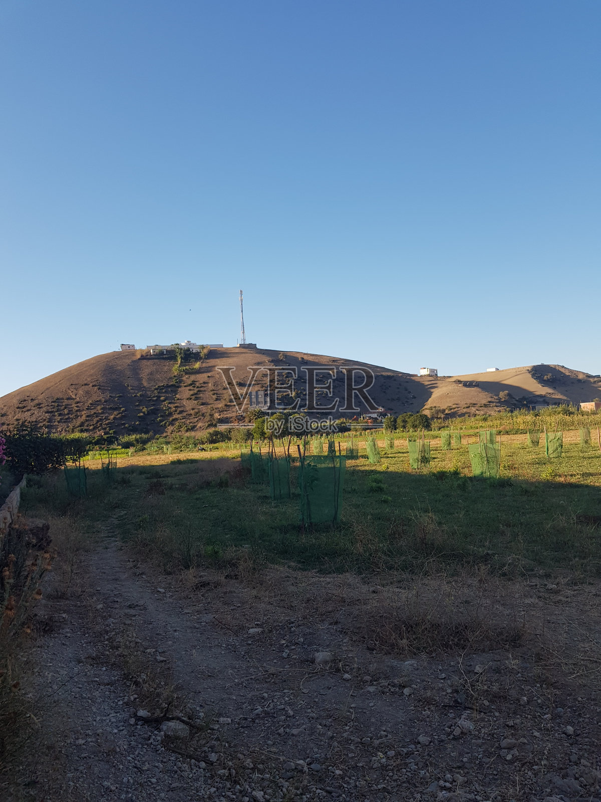 宁静的阳光普照的乡村景观照片摄影图片