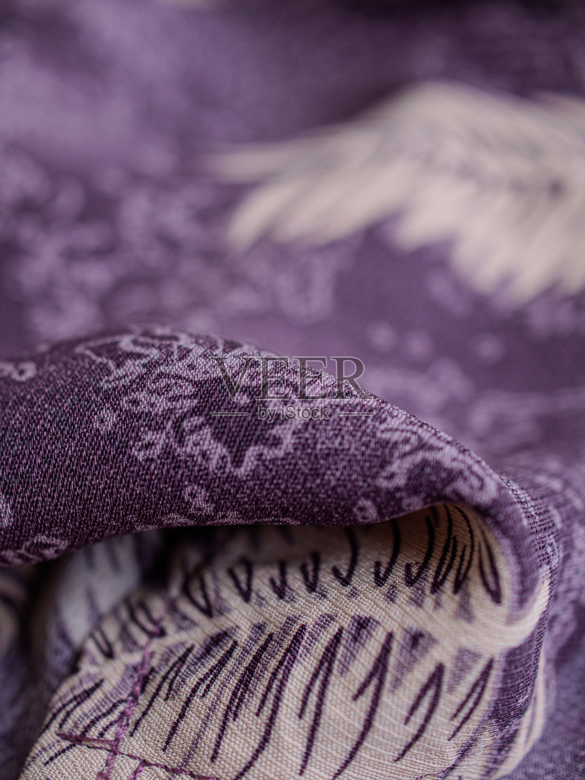 叶结构照片摄影图片