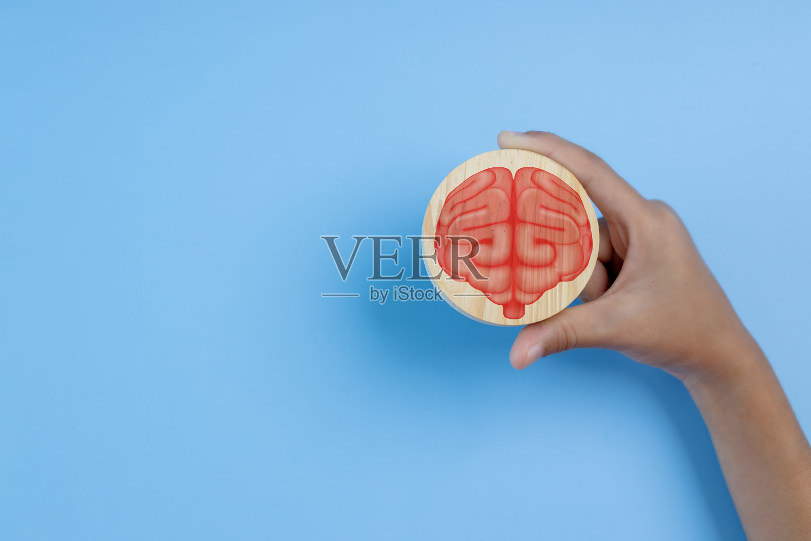 一只手握着一个木制的大脑模型照片摄影图片