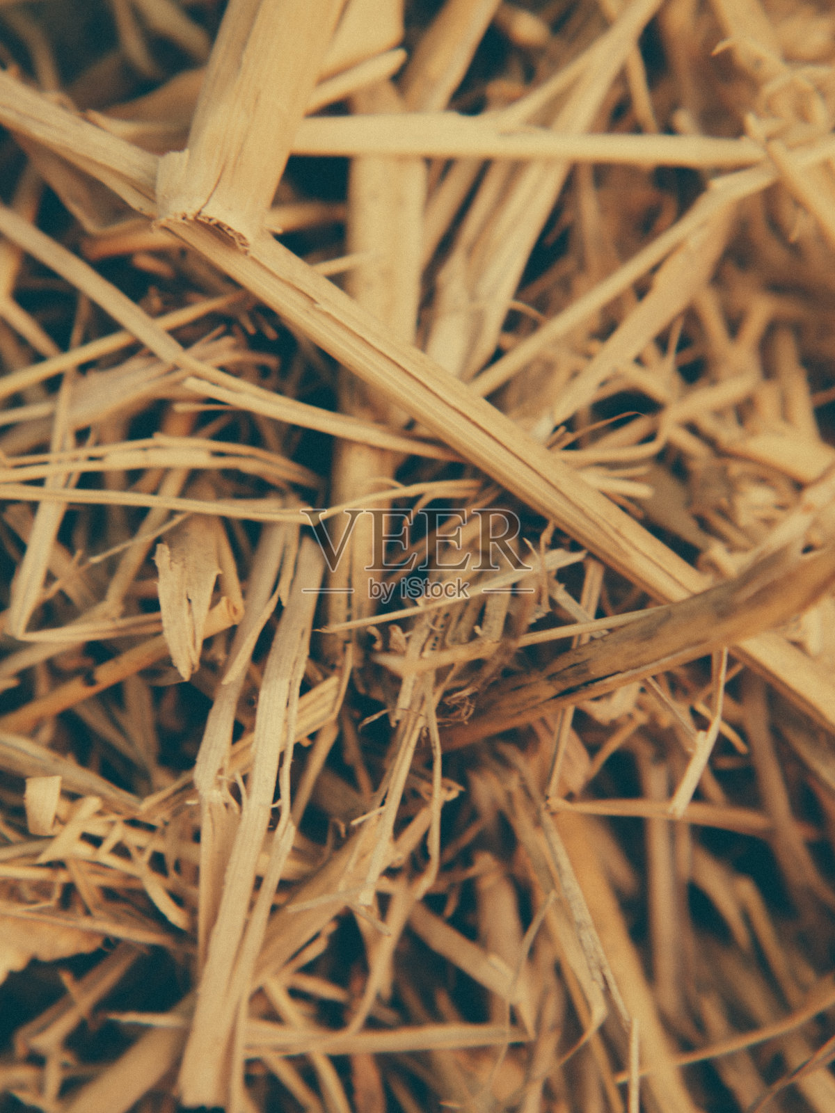 干草图案特写照片摄影图片