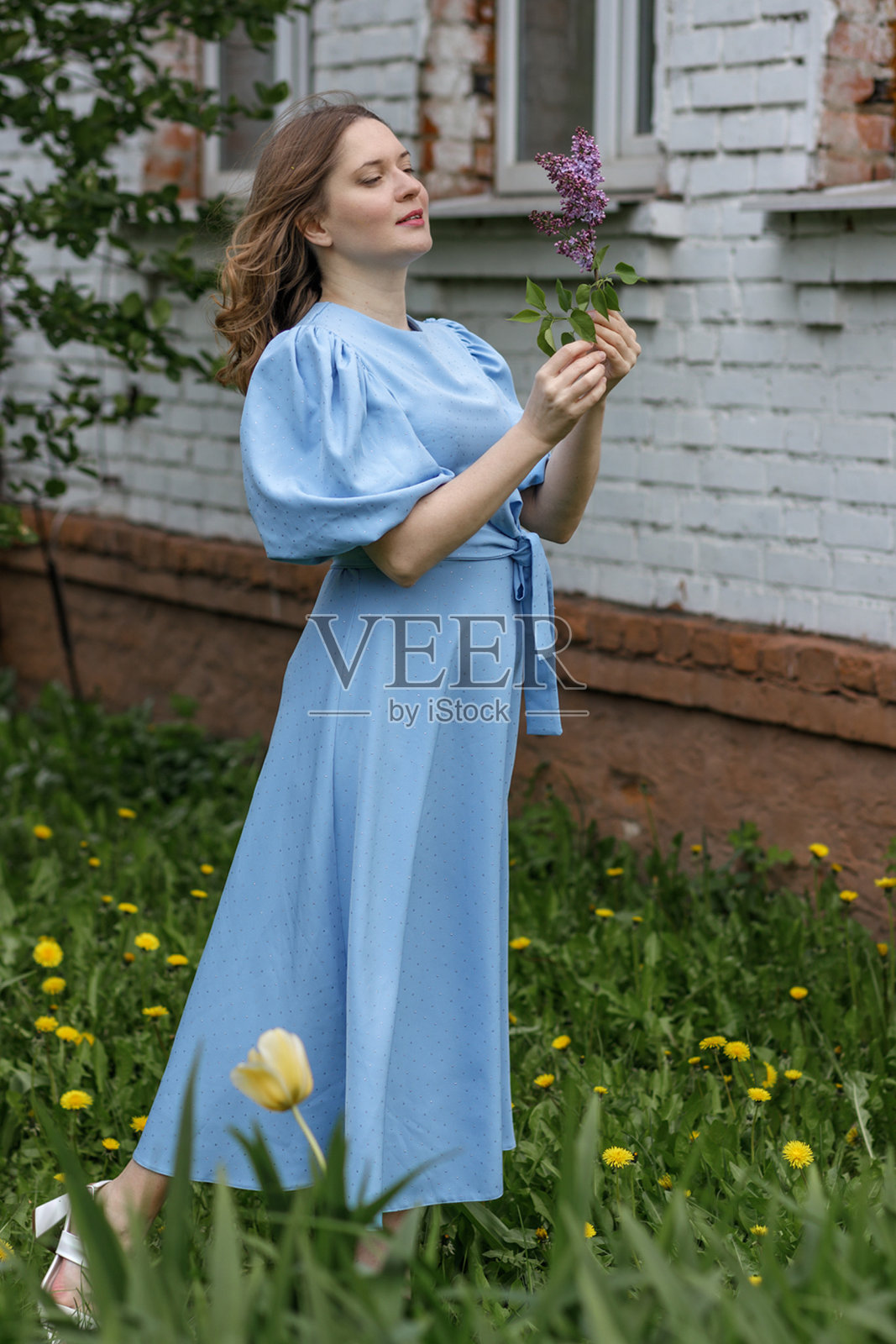 一个美丽的女孩,一头黑发,穿着一件蓝色的衣服,在丁香花园里散步,她是村里的一个农妇照片摄影图片