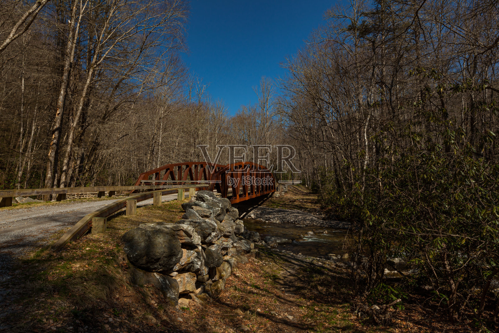 直叉,早春照片摄影图片