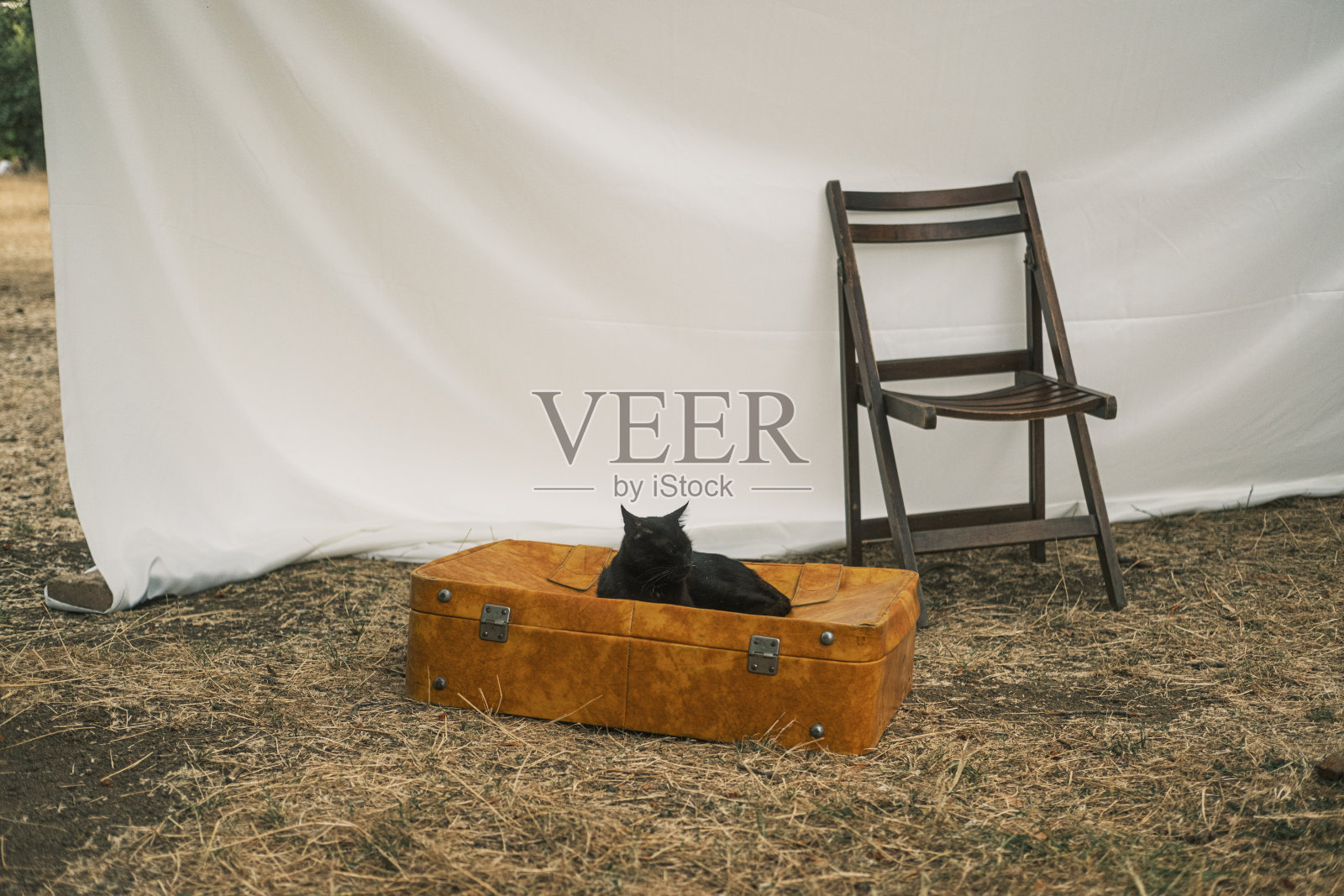 手照片摄影图片