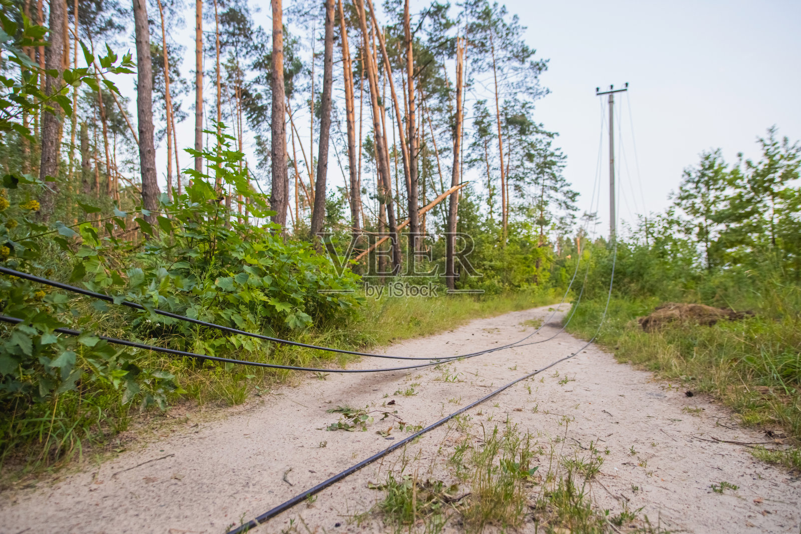 暴风雨过后,电线杆断了。电线断了。照片摄影图片
