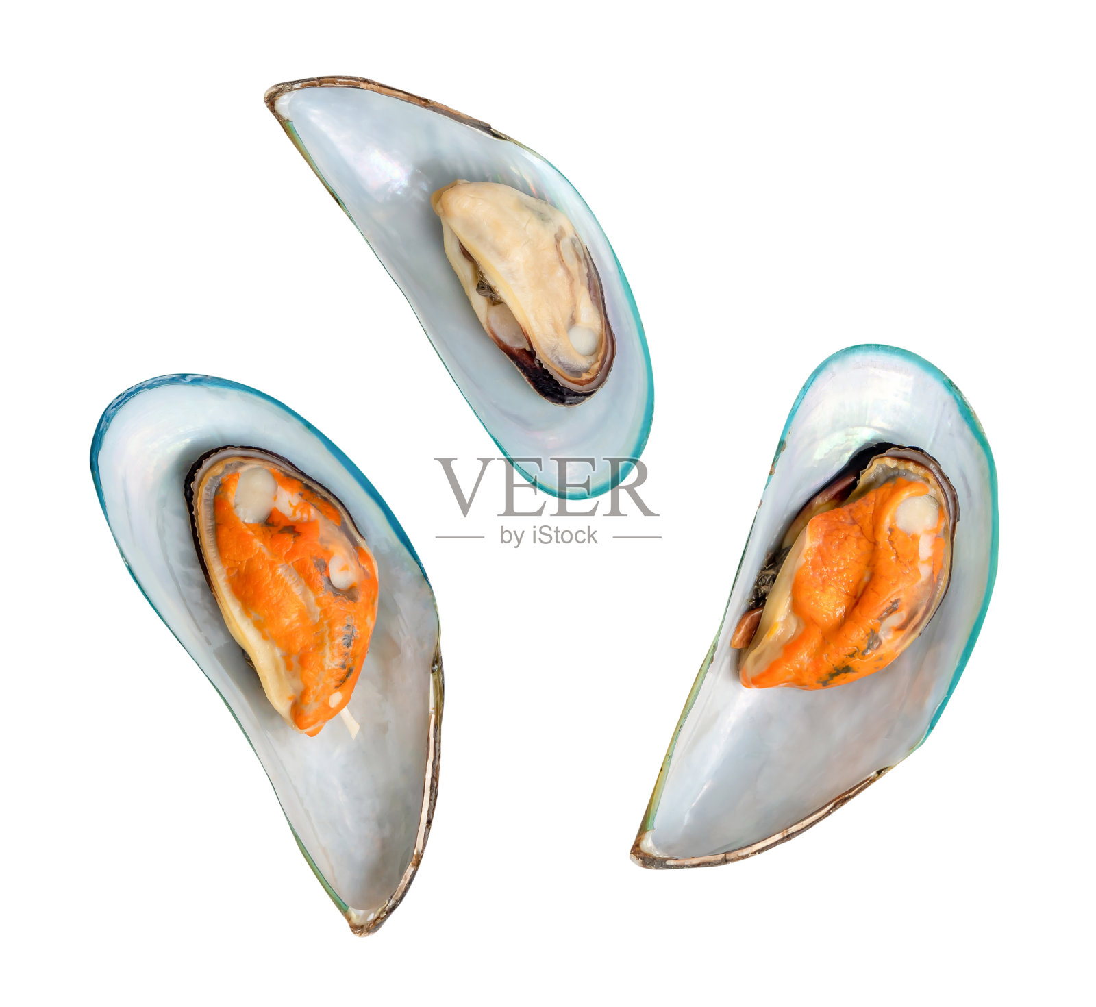 顶部视图集蒸绿色贻贝孤立的白色背景与剪辑路径照片摄影图片