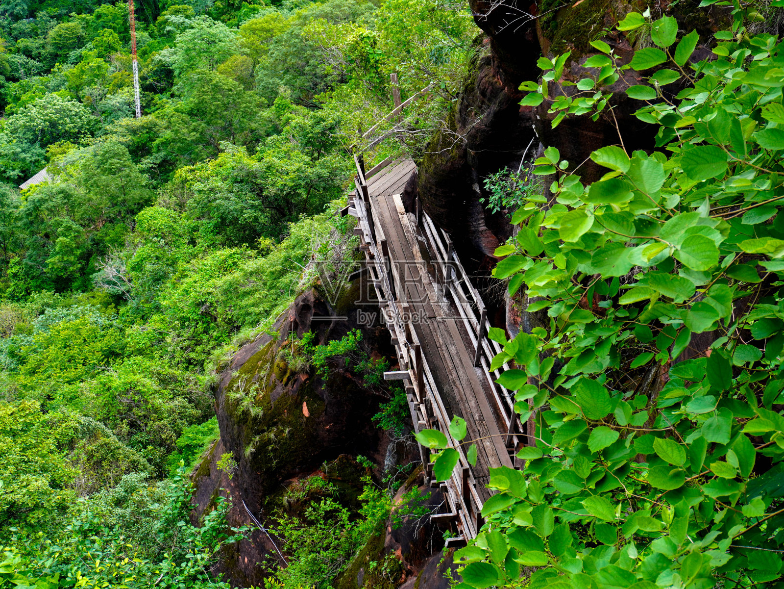Phu Thok或Wat Chetiyakhiri,美丽的山景和高高的岩石悬崖上的木桥,泰国Bueng Kan省。照片摄影图片