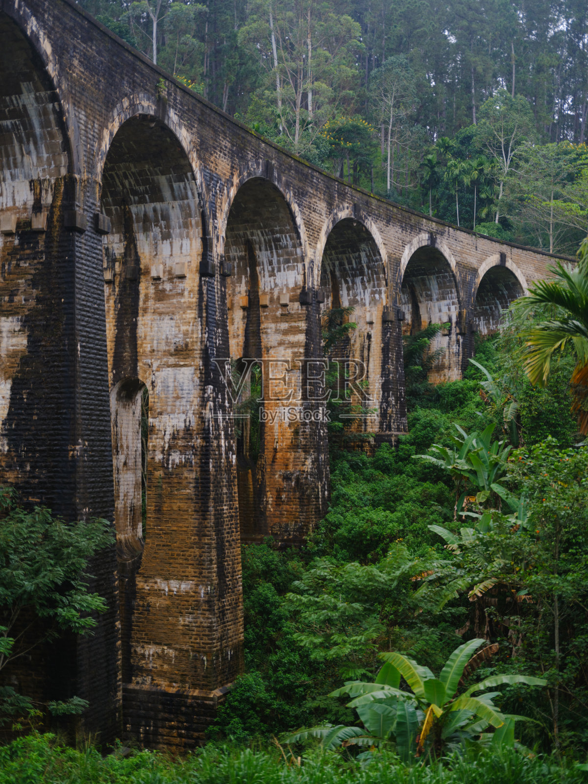 斯里兰卡的九拱桥照片摄影图片