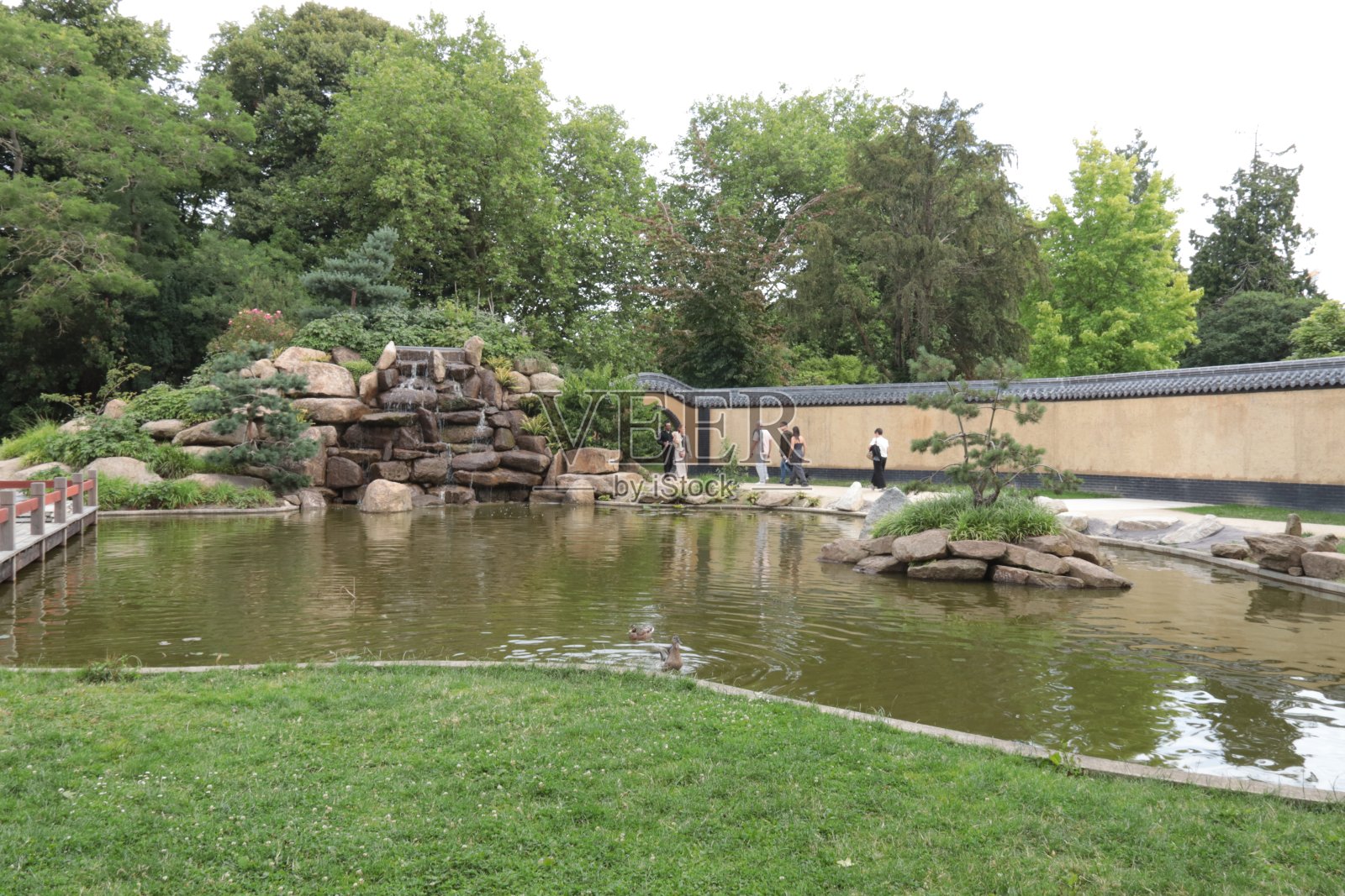 老年人度假照片摄影图片