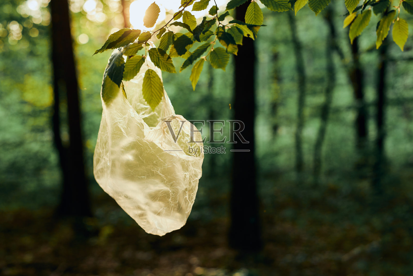 森林里的塑料垃圾。塑料污染和对环境不负责任的观念照片摄影图片