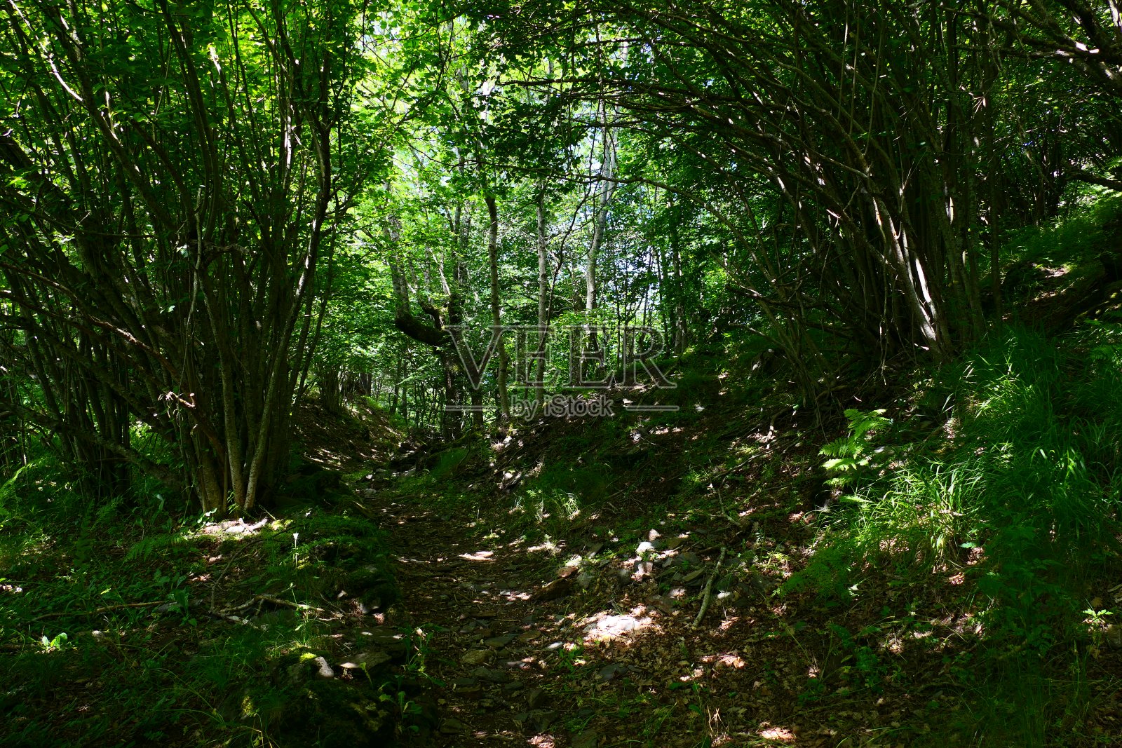 这条通往圣米歇尔修道院的小路,位于加泰罗尼亚阿兰谷维拉莫斯村附近照片摄影图片