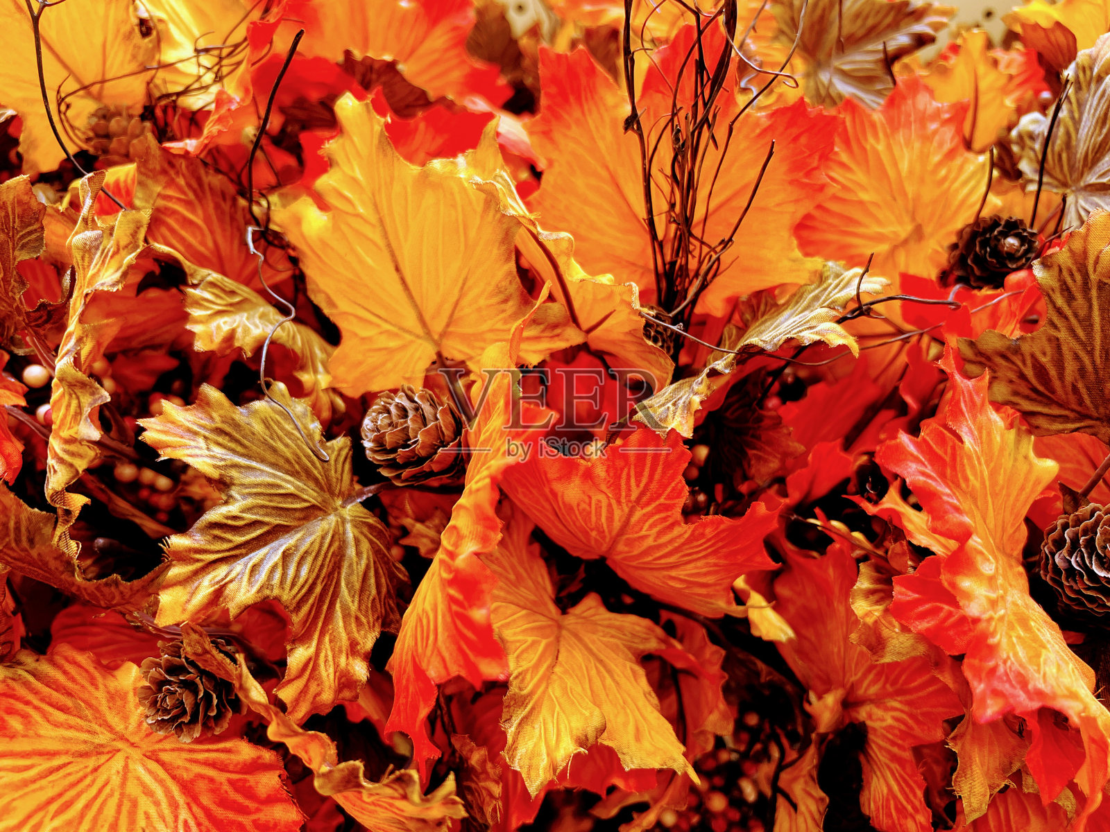 秋天的颜色照片摄影图片