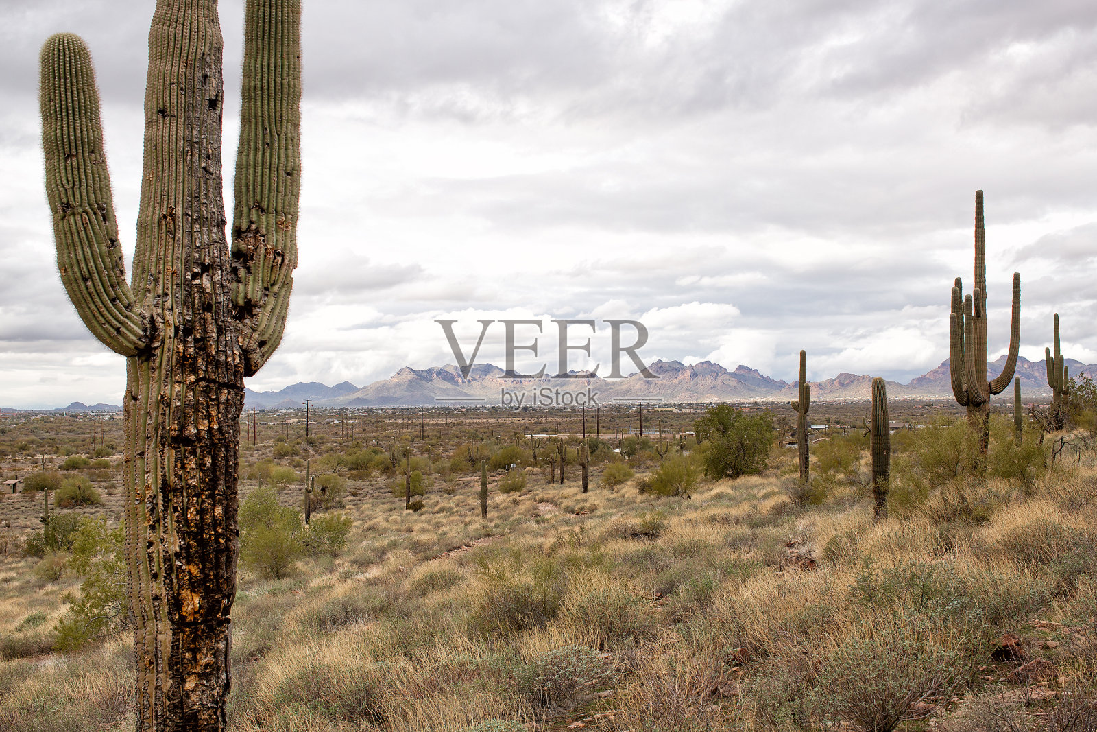 从傻山公园内的步道看风景照片摄影图片