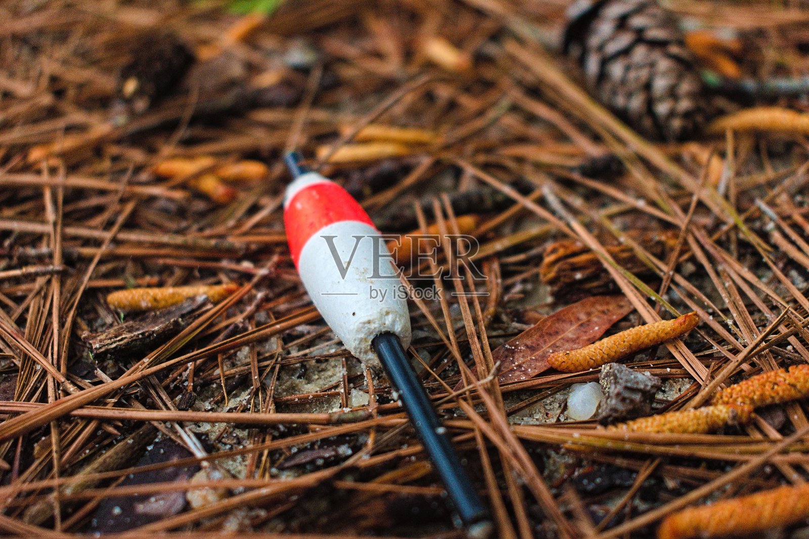 P00009约旦湖上的钓鱼花车照片摄影图片