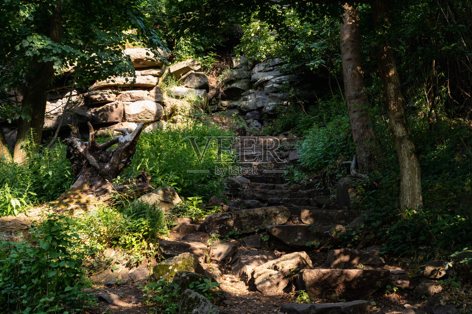 巴达克索尼森林里的玄武岩楼梯照片摄影图片