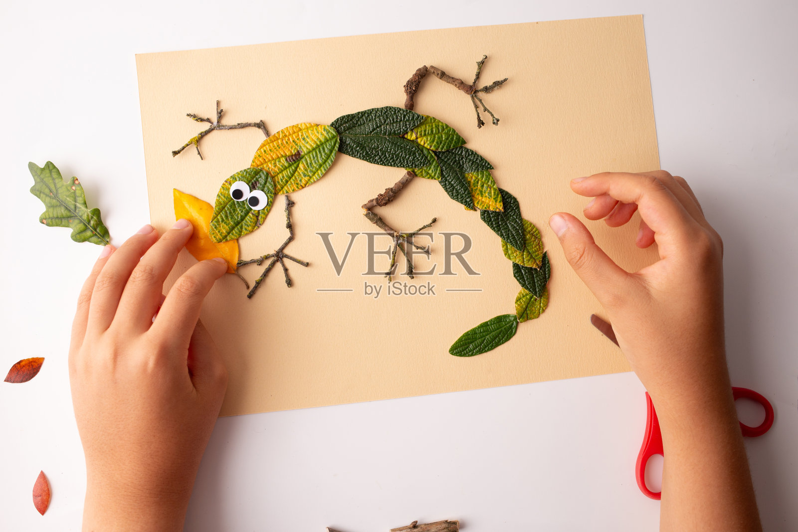 在米色纸上使用天然材料的创造性蜥蜴代表照片摄影图片