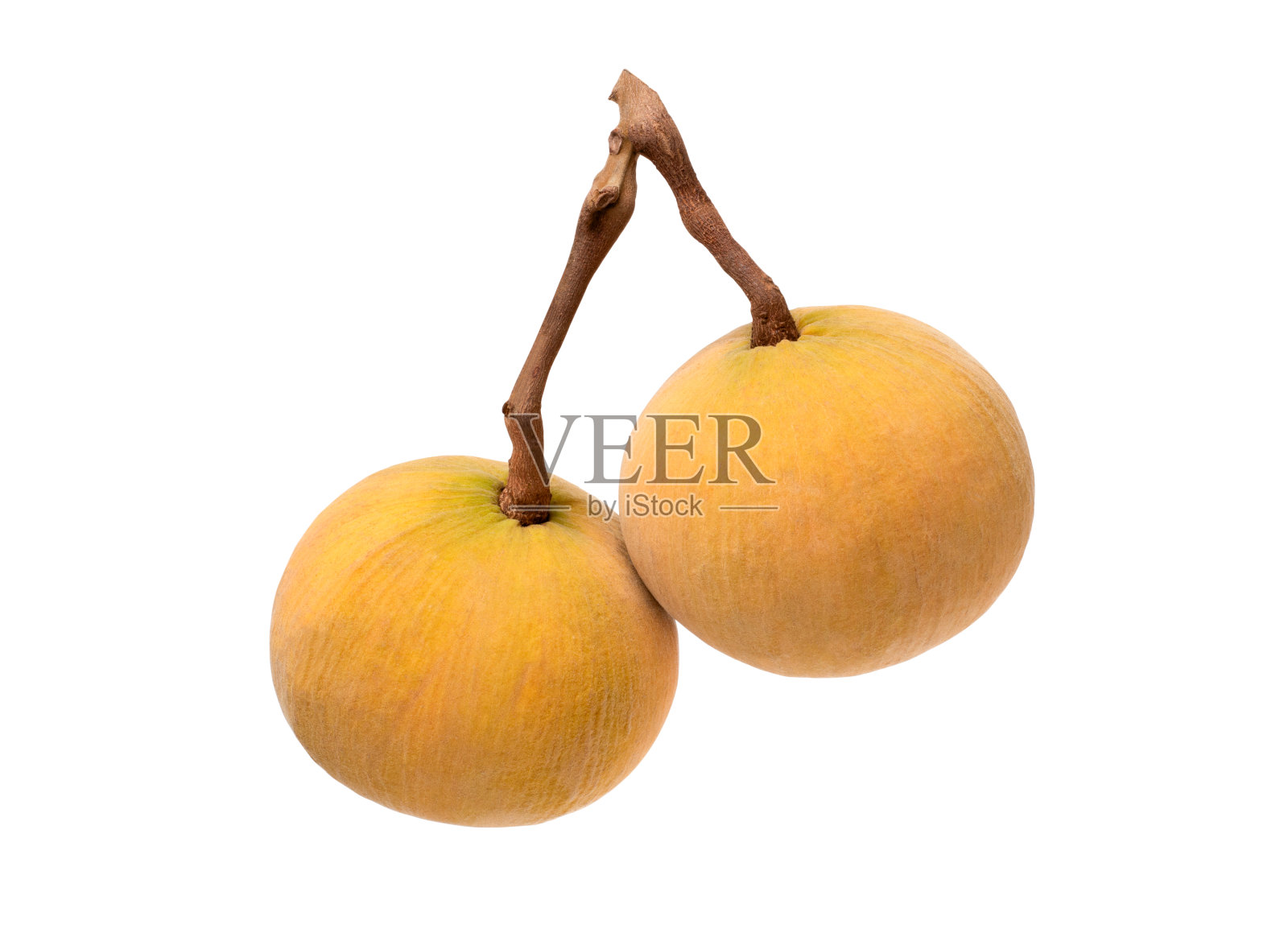 桑托尔水果上的白色照片摄影图片