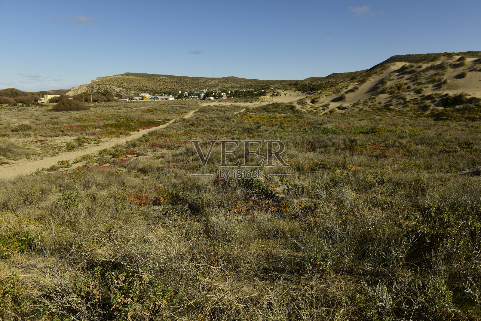 巴尔德斯半岛黄昏时的海岸景观,世界遗产,阿根廷巴塔哥尼亚照片摄影图片