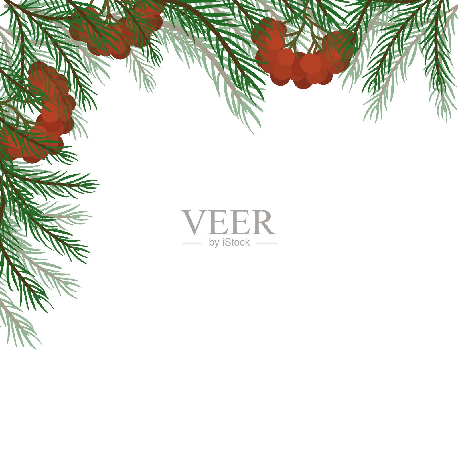 角落边缘的松树和云杉树枝与红色的rowan浆果明信片或横幅,标志的设计。现代设计的节日邀请卡,海报,横幅,贺卡,明信片,包装,印刷。矢量插图。插画图片素材