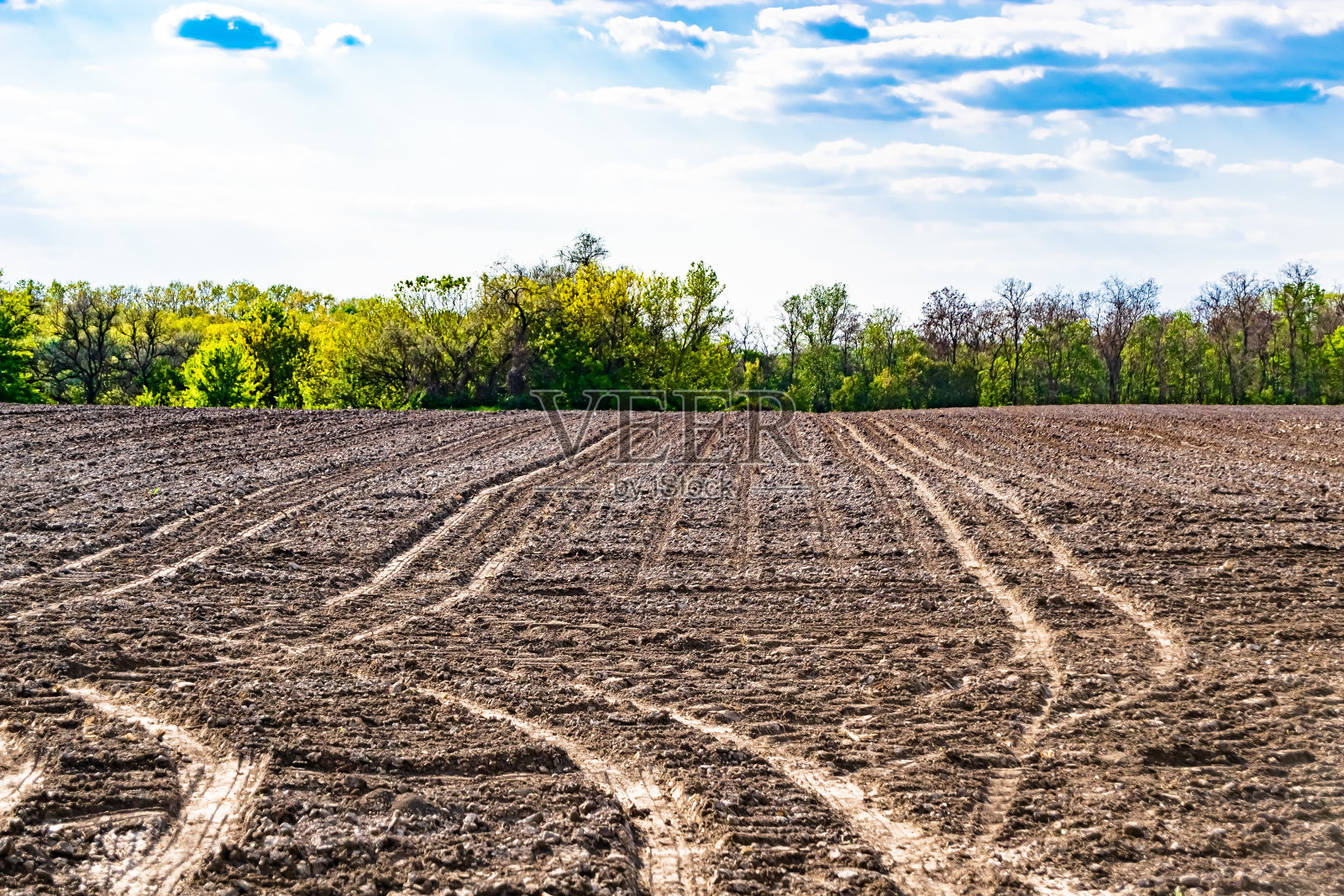 主题摄影:有机收获的空旷农田照片摄影图片