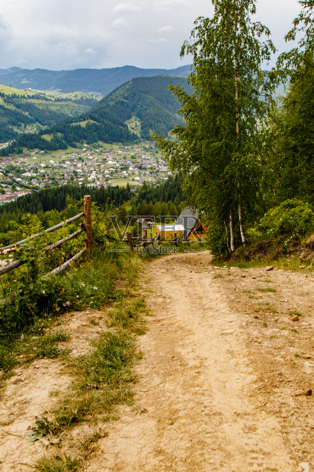 乌克兰的田野和草地照片摄影图片