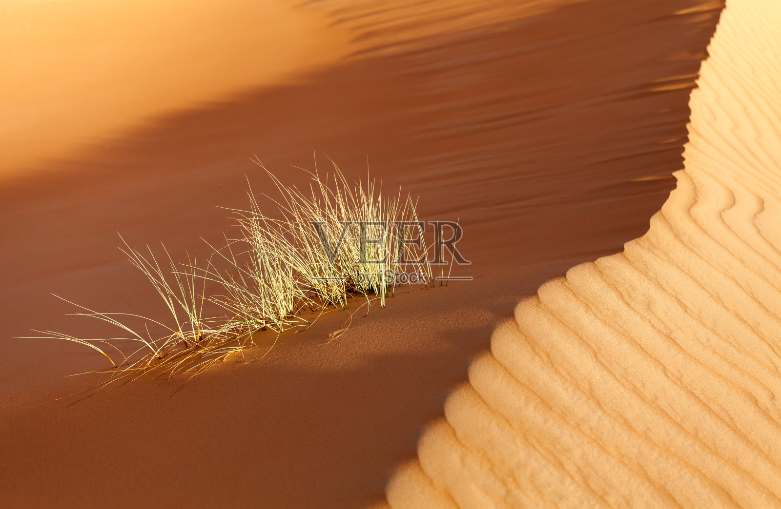 沙丘特写照片摄影图片