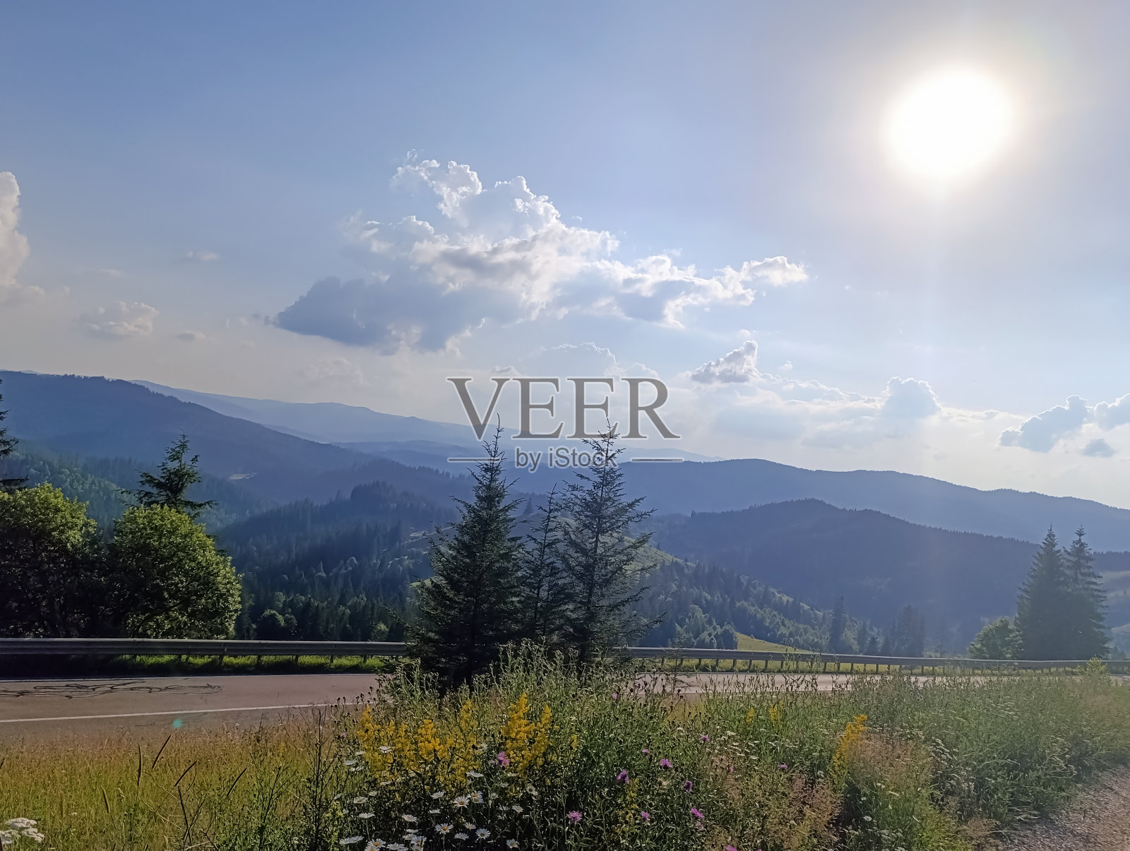 景观-森林-欧洲,罗马尼亚照片摄影图片