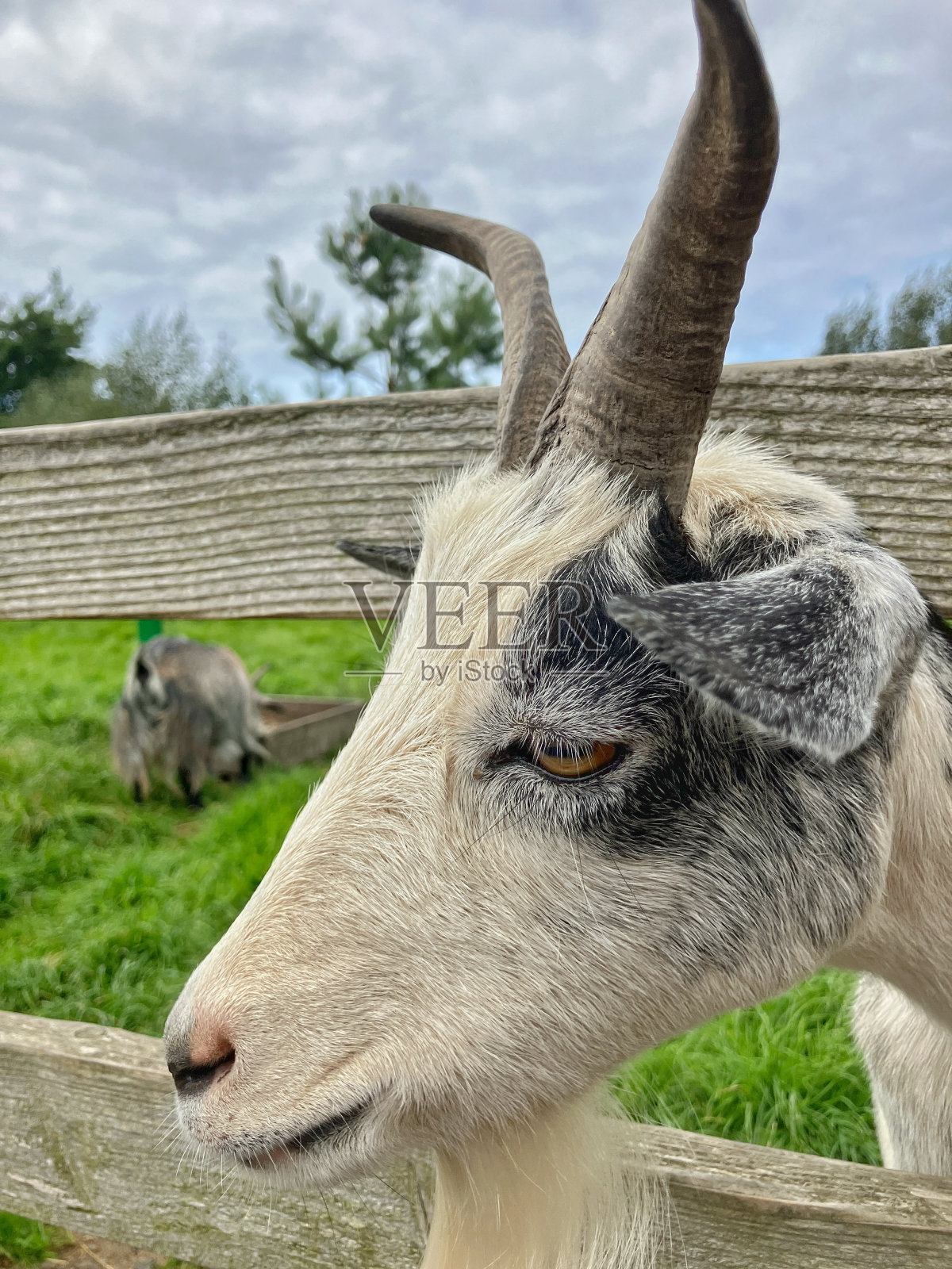 苏格兰西南部的奇异荒野照片摄影图片