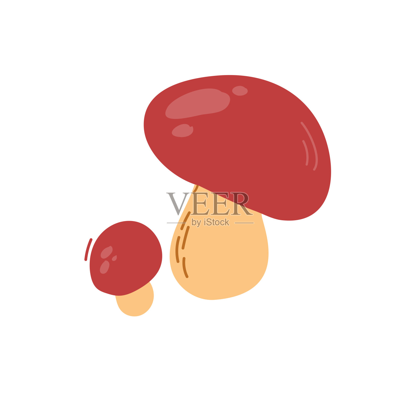 牛肝菌,森林食用菌。新鲜的秋季季节性肉毒杆菌组成。秋木耳、帽、茎。植物平面矢量插图隔离在白色背景上插画图片素材