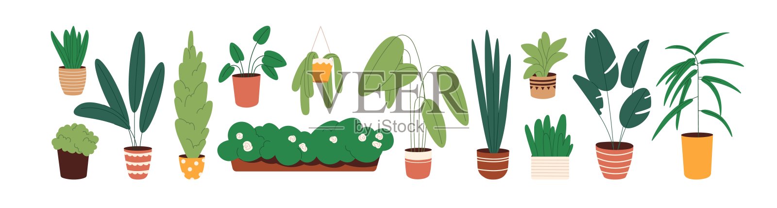 不同的室内植物。家花带绿叶。花盆里有大大小小的叶子的室内植物。各种花卉室内装饰花盆。平面隔离矢量插图上的白色插画图片素材