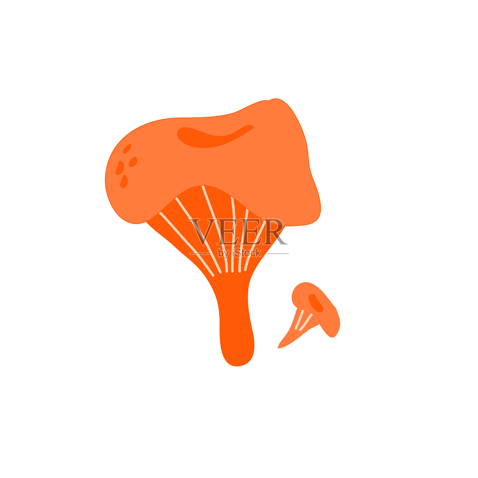 鸡油菌矢量插图分离的蘑菇普遍用于烹饪项目,如食谱卡,菜单布局或教育材料,促进健康的饮食习惯插画图片素材