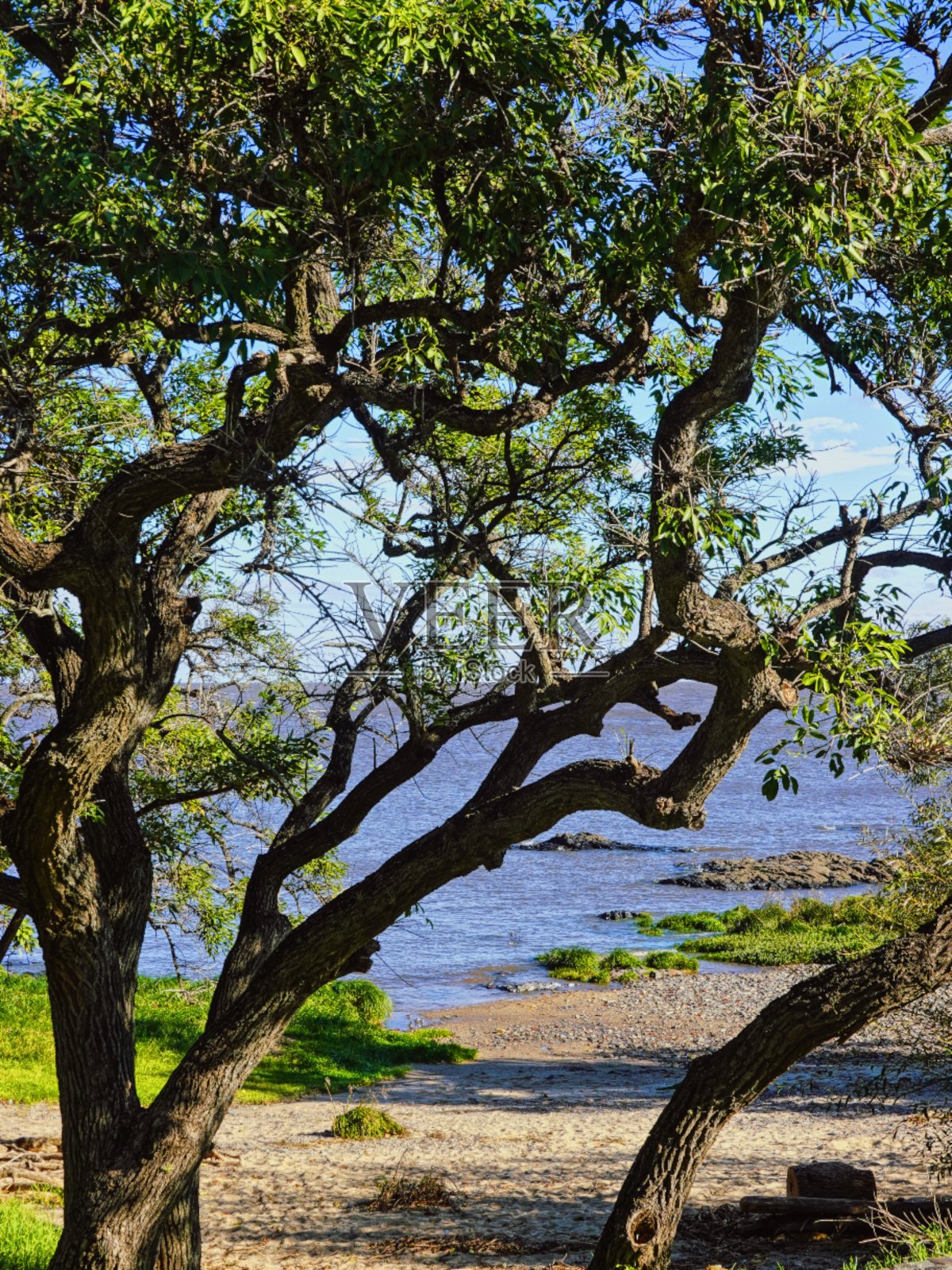 殖民地,乌拉圭照片摄影图片