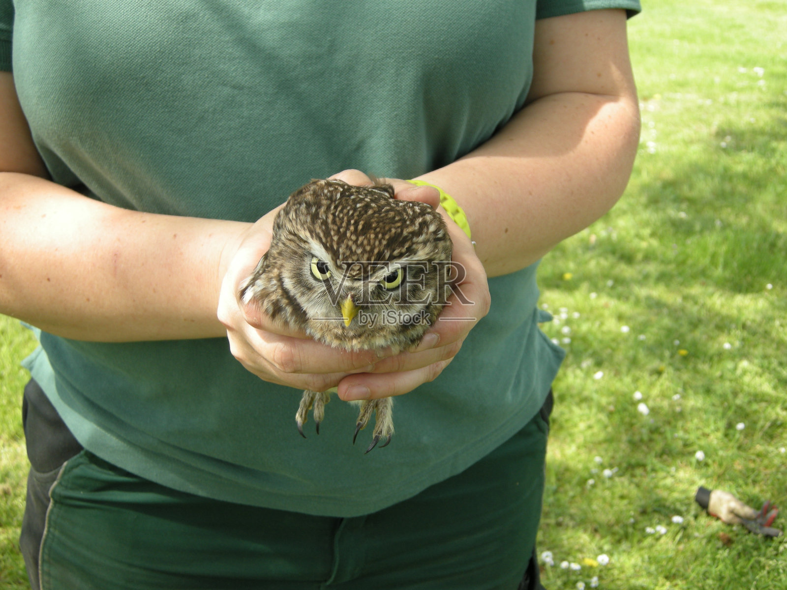 抱着猫头鹰的女人的中视图照片摄影图片