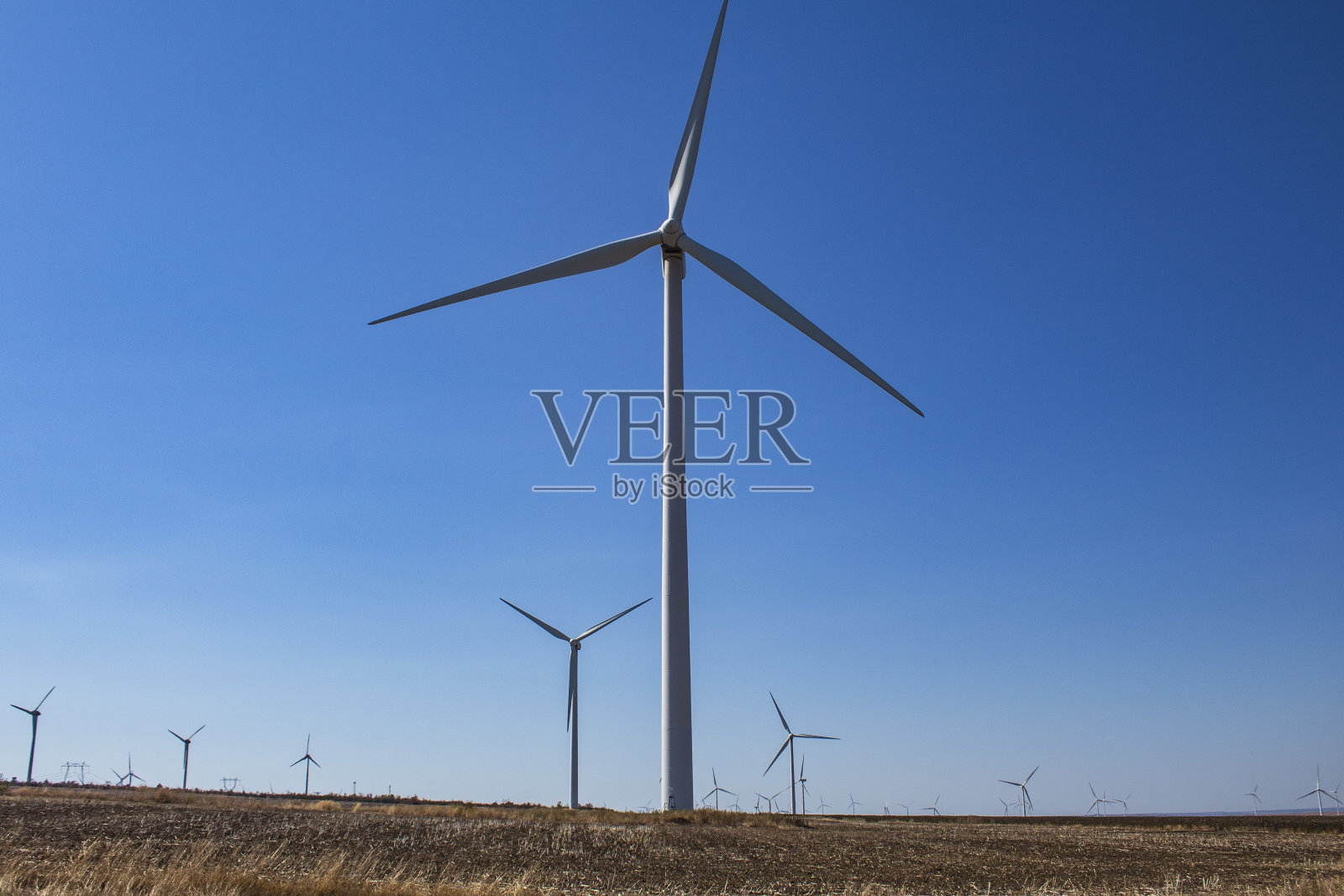 景观-森林-欧洲,罗马尼亚照片摄影图片