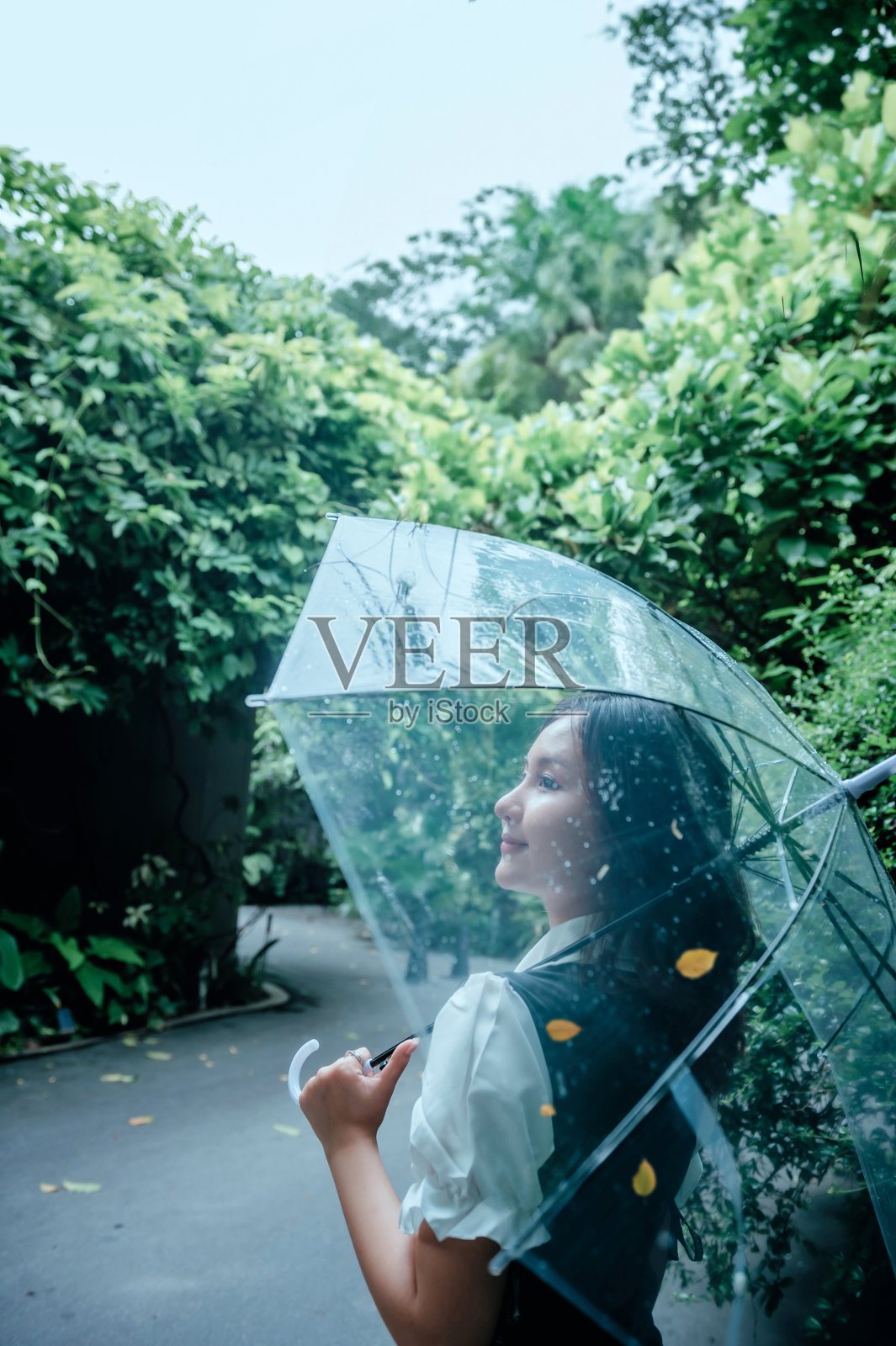 雨季概念照片摄影图片