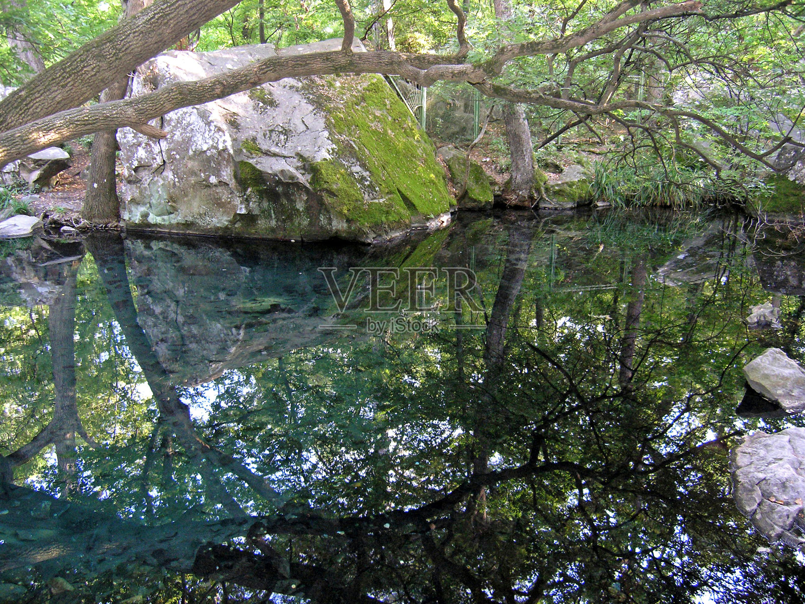 阿卢普卡老公园里的湖照片摄影图片